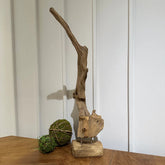 CASPIAN ART DECOR - AVRS FURNITURE